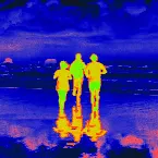 Pochette Fight or Flight