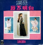 Pochette 我不明白