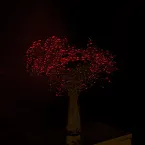 Pochette practice 2022