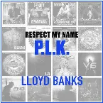 Pochette Respect My Name