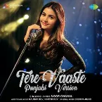 Pochette Tere Vaaste (Punjabi Version)