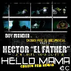 Pochette Hello Mama (Chosen Few remix)