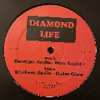 Pochette Diamond Life 13