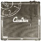 Pochette 4 años, 2 meses y 1 día