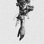 Pochette The Flowers of Romance