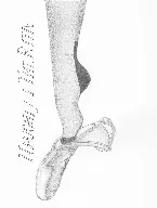 Pochette The Rita / Naughty