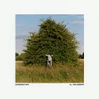 Pochette All the Unknown