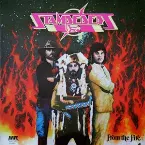 Pochette From the Fire