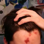 Pochette The Decline of Stupid Fucking Western Civilization