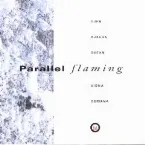 Pochette Parallel Flaming