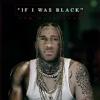 Pochette If I Was Black