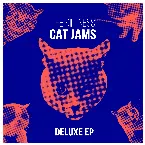 Pochette Cat Jams