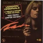 Pochette Flash in the Night