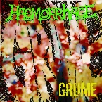 Pochette Grume