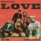 Pochette How Do You Love