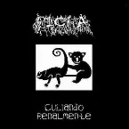 Pochette Culiando Renalmente