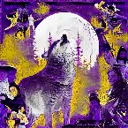 Pochette Miracle of the Shaolin Moonwolf