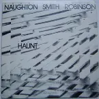 Pochette The Haunt