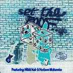 Pochette Set the Roof (Good Times Ahead remix remix)