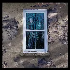 Pochette The Opening