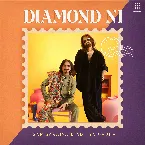 Pochette Diamond Ni