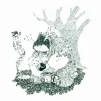 Pochette Behold a Raccoon in the Darkness