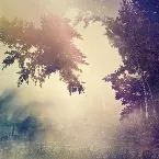 Pochette Violante (Lost in a Dream)