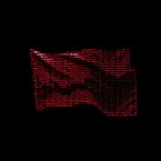 Pochette WAVE THE BULL