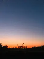 Pochette The Dying of the Evening