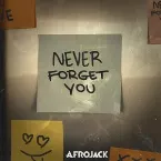 Pochette Never Forget You