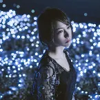 Pochette 流星