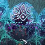 Pochette Echo System