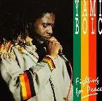 Pochette Fighting for Peace