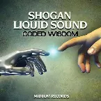 Pochette Coded Wisdom
