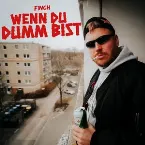 Pochette WENN DU DUMM BiST