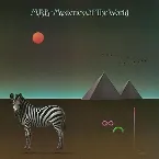 Pochette Mysteries Of The World