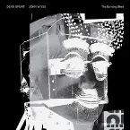 Pochette The Echoing Shell