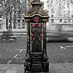 Pochette The World I Want to Leave Behind