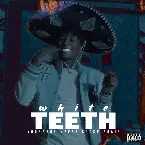 Pochette White Teeth