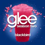 Pochette Blackbird