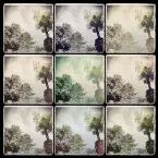 Pochette Scale Compositions