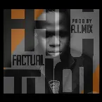 Pochette Factual