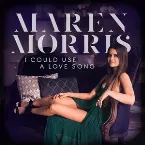 Pochette I Could Use A Love Song