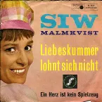 Pochette Liebeskummer lohnt sich nicht