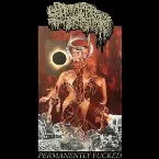 Pochette Permanently Fucked