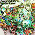 Pochette Evening Solace