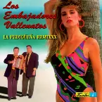 Pochette La pedigüeña remixxx