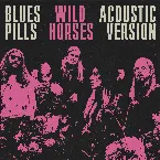 Pochette Wild Horses - Acoustic