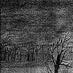 Pochette L'arbre mort