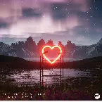 Pochette Like I Need You